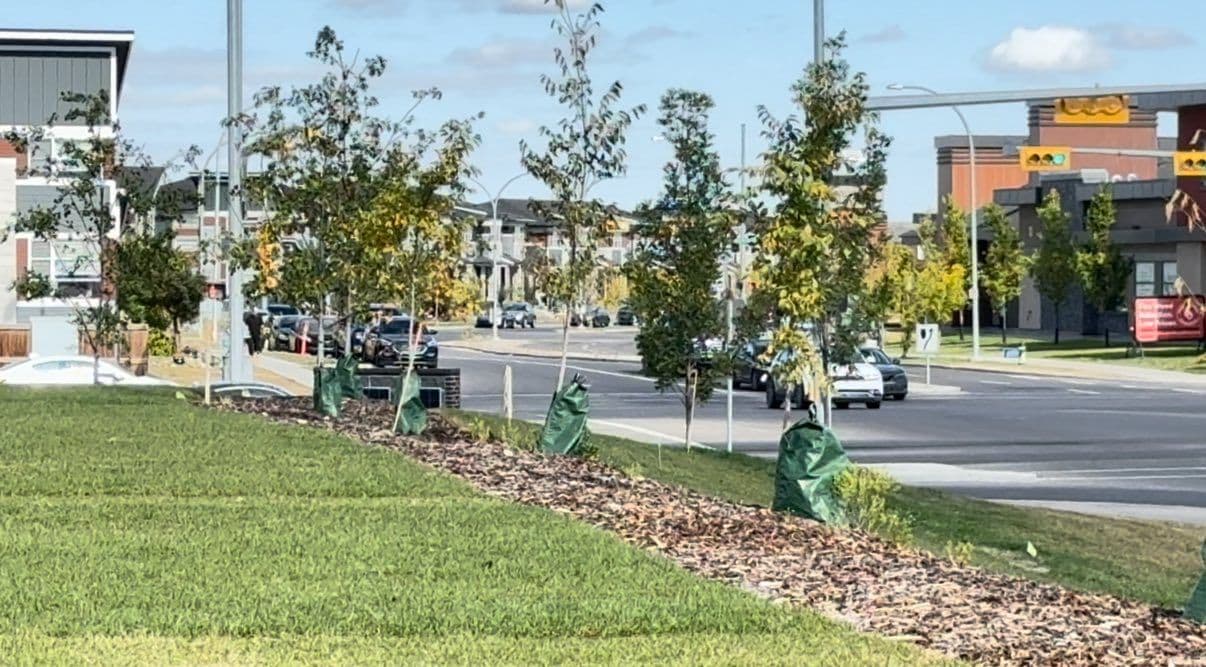 Had a great day in Cityscape knocking on doors and chatting with residents.